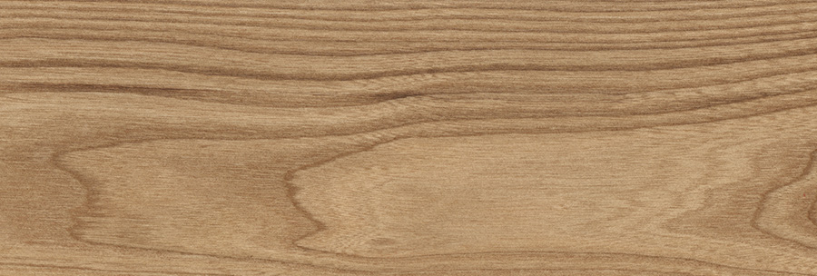 TRENDY NORDIC OLMO MONACO