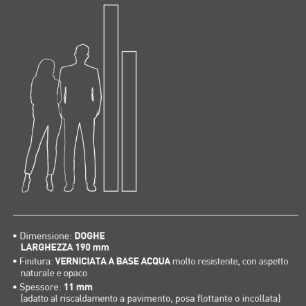 CARATTERISTICHE